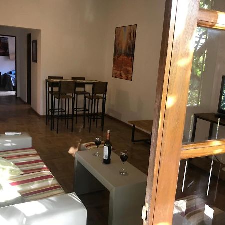 Mza Wine Apartment -Next To Aristides Street- First Class Mendoza Bagian luar foto
