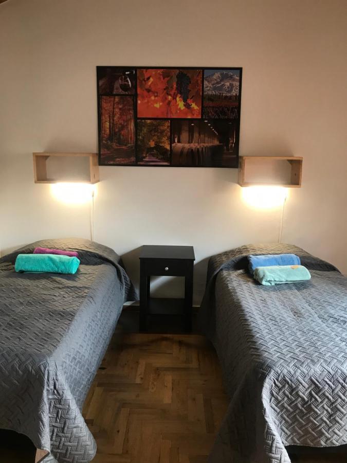 Mza Wine Apartment -Next To Aristides Street- First Class Mendoza Bagian luar foto